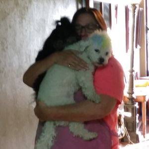 Meet your Posher, Sharon